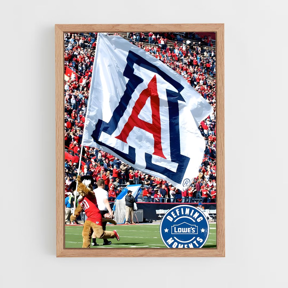 Poster Fier Wildcats – affiche Basketball (vue 4)